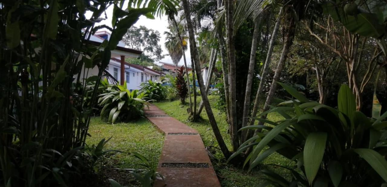 Geliwa B&B Turrialba Bagian luar foto